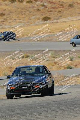 media/Feb-22-2025-Team Topak Racing (Sat) [[cb57a51a40]]/86 Party Brigade/Turns 13 and 14/